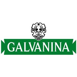 La Galvanina S.p.A. Logo