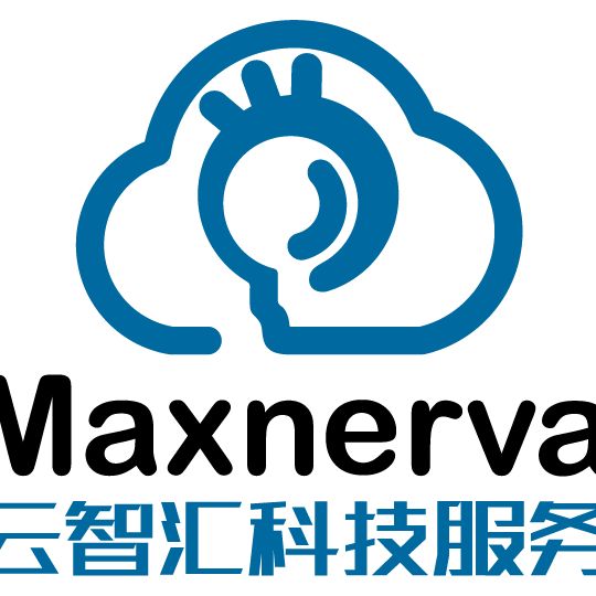 maxnerva logo