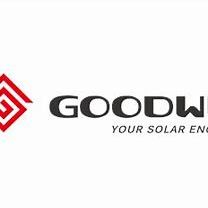 GoodWe(G) logo