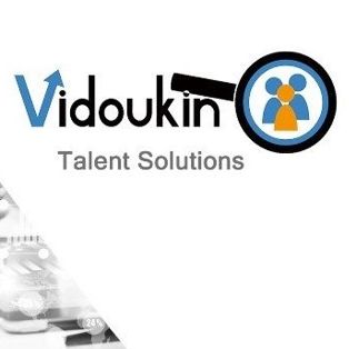 Vidoukin logo