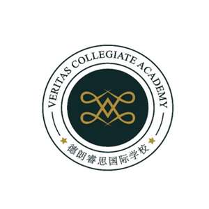 vcacn.com/Delang Ruisi Education Development logo
