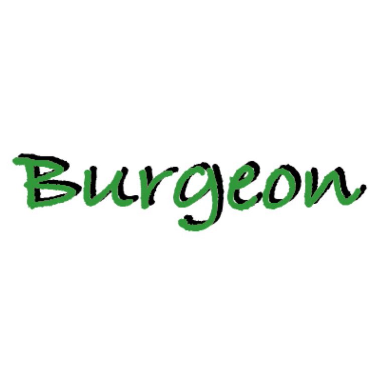 Burgeon Consulting Logo