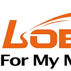 Shenzhen Loboo MOTOR Accessories Co., Ltd. logo