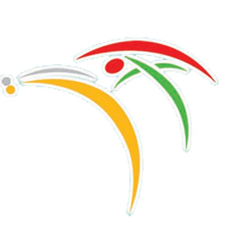 Shandong Golden Gain Import and Export Company Ltd logo