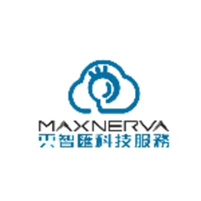 Maxnerva Technology Services Limited 丨  Logo