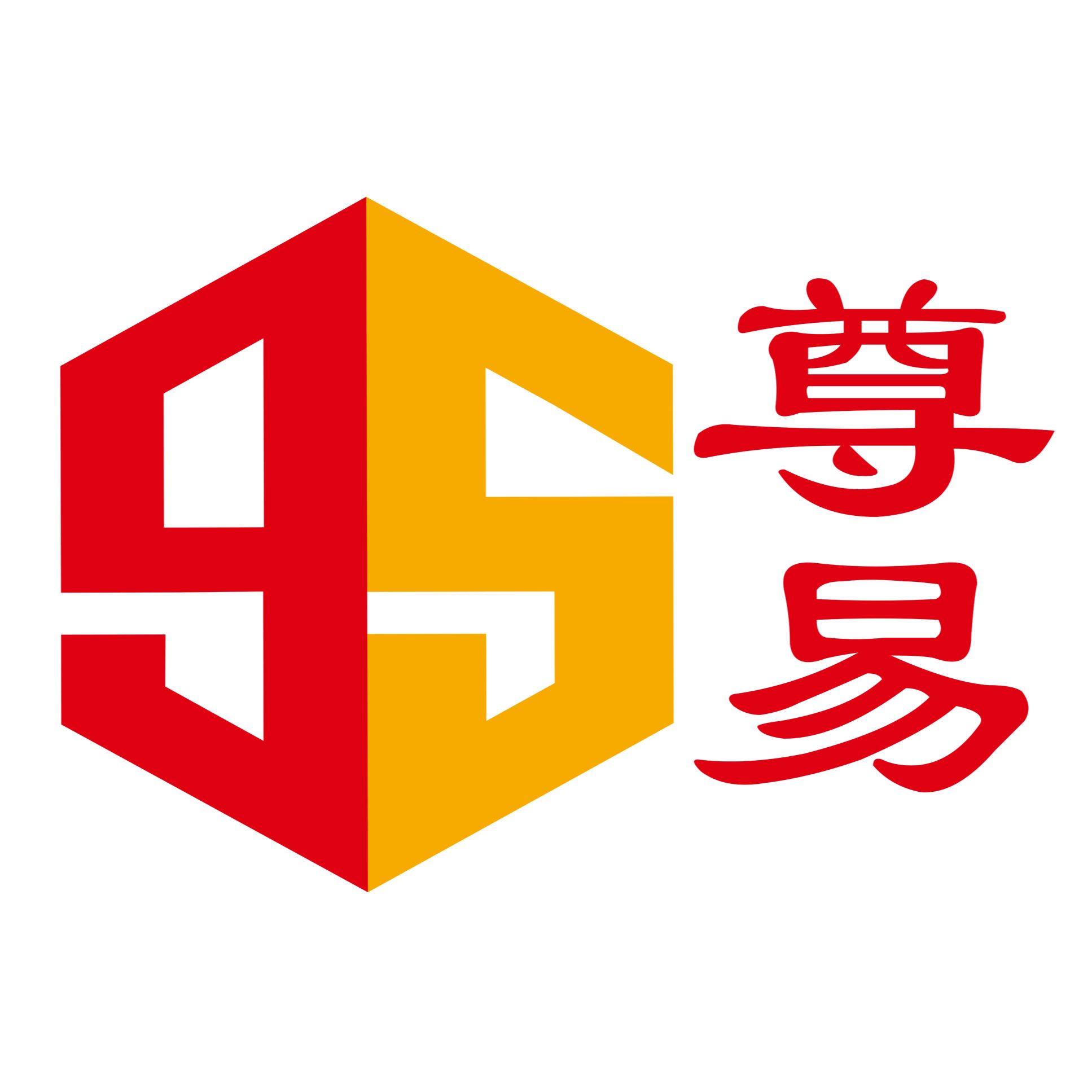 Shanghai 95isee Information Technology Co., Ltd logo