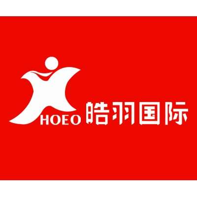 Hubei Haoyu Human Resource Management Co., Ltd logo