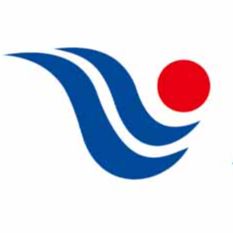 Wuhan Tianyu Information Industry Co., Ltd.  logo