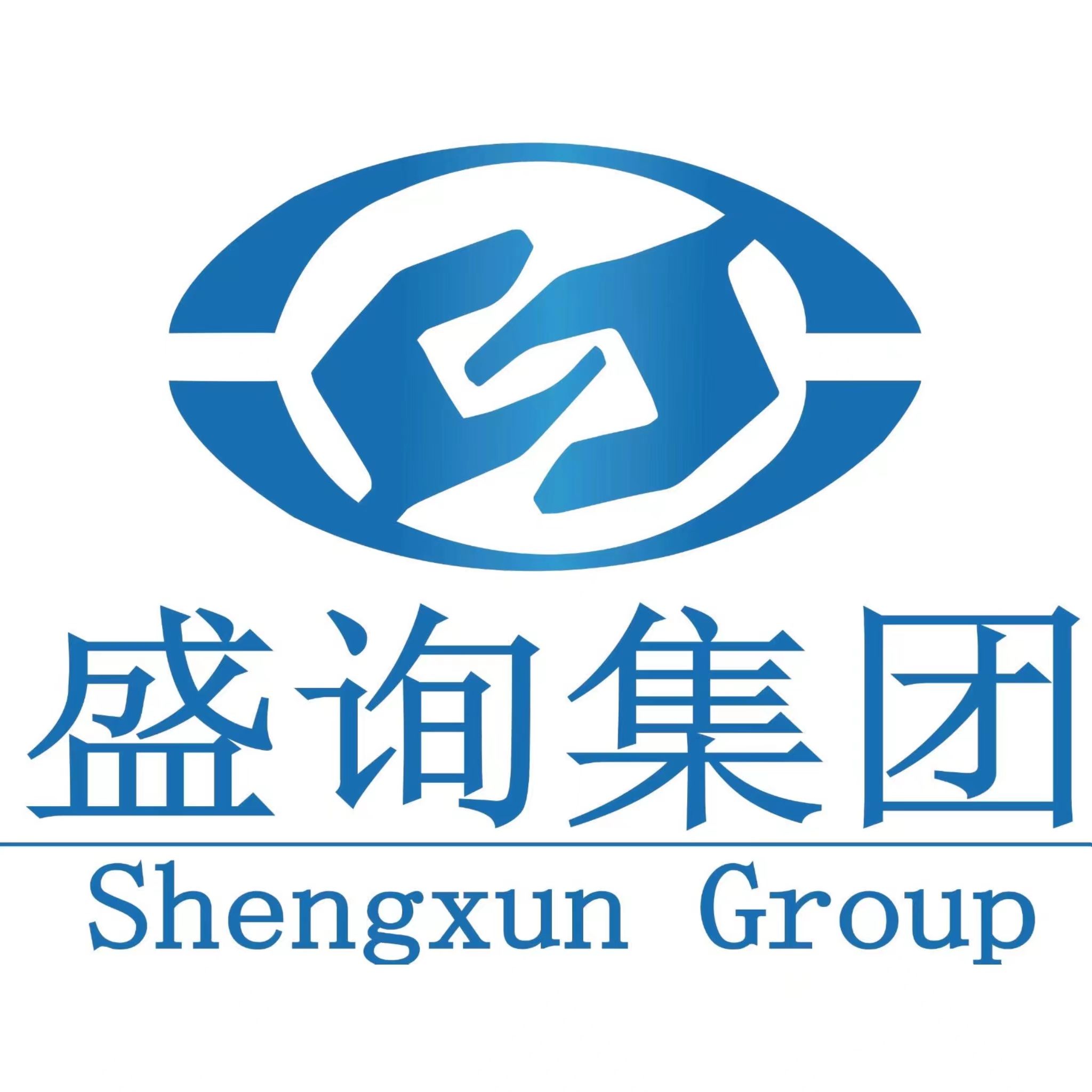 Sheng xun Group logo
