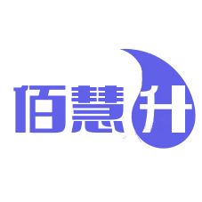 Ningxia Baihuisheng Technology Consulting Service Co., Ltd Logo