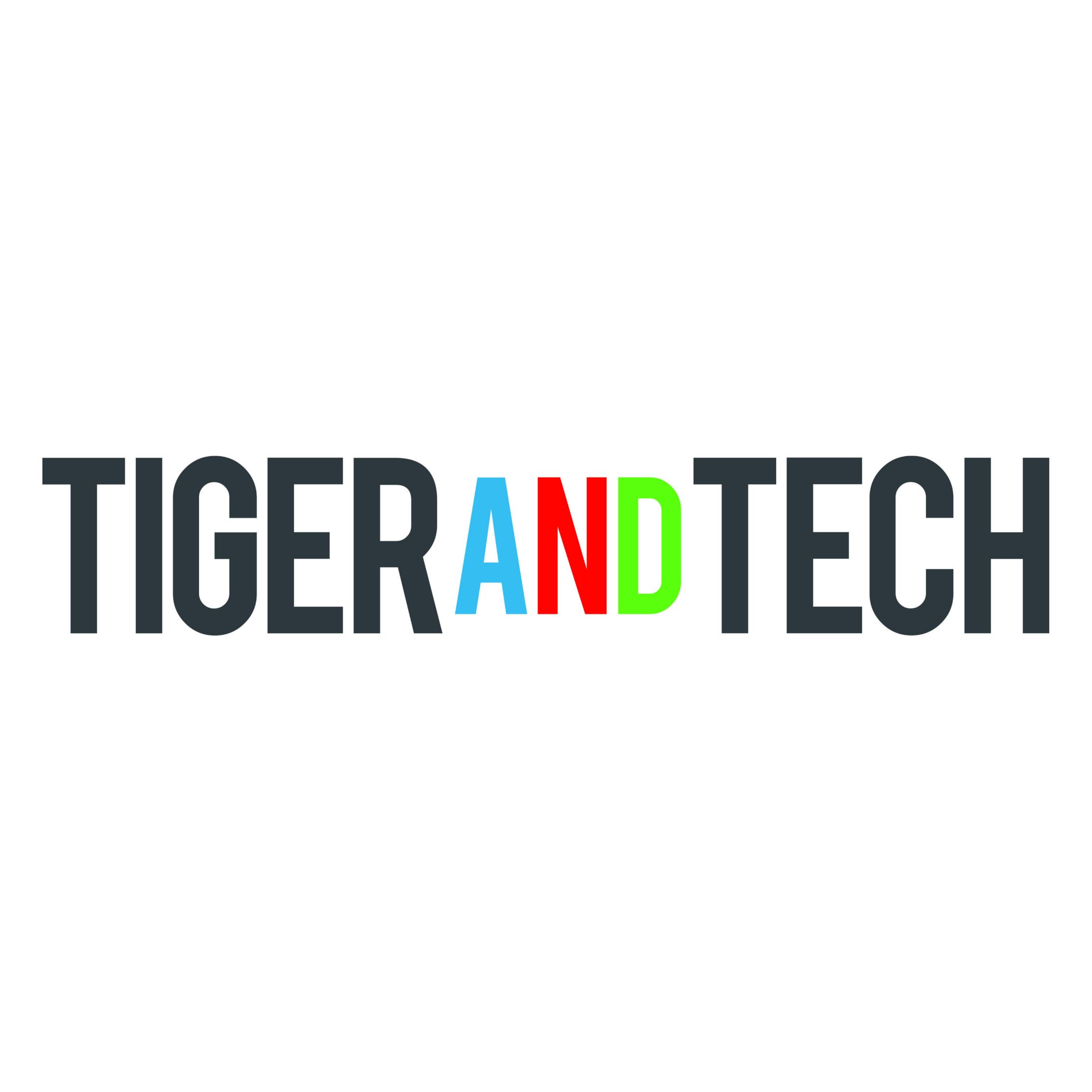 Nanjing Tiger&Tech Service Co., Ltd logo